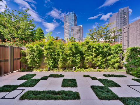 ブランズ六本木の写真 13枚目