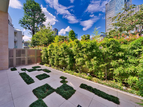 ブランズ六本木の写真 14枚目