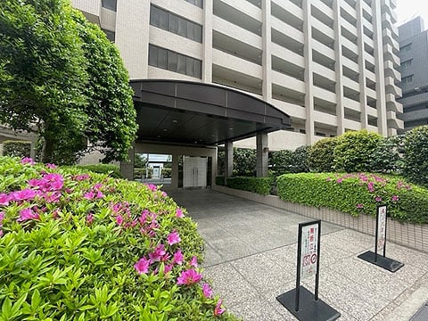 イトーピア麻布の写真 12枚目