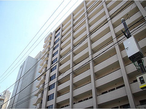 イトーピア麻布の写真 14枚目