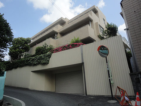 ニューハイツ白山の写真 7枚目