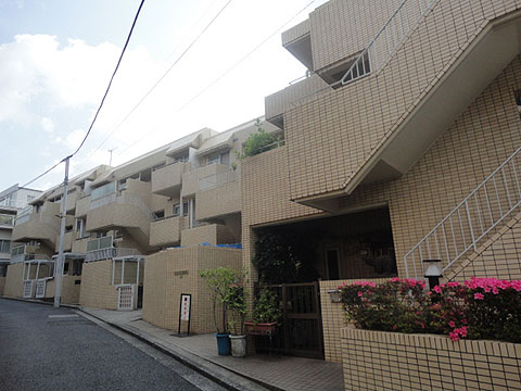 ニューハイツ白山の写真 10枚目