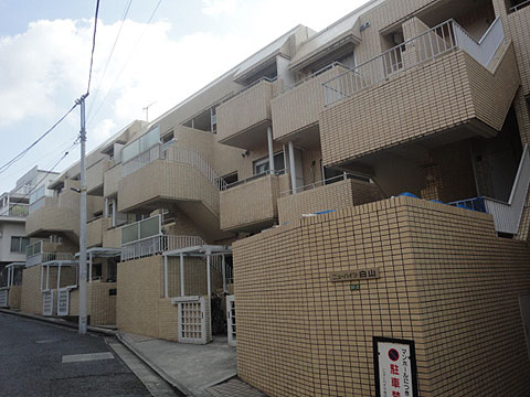 ニューハイツ白山の写真 11枚目