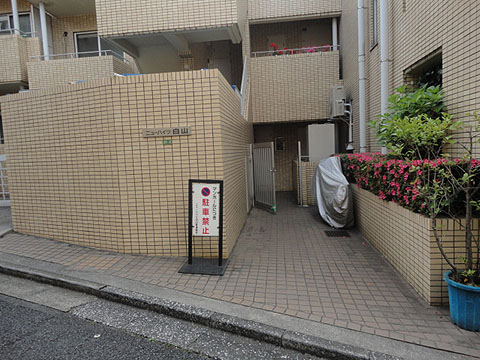 ニューハイツ白山の写真 12枚目