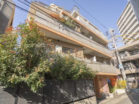 カーサフェリス松濤の写真 8枚目