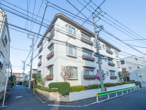 アライエ等々力の写真 6枚目