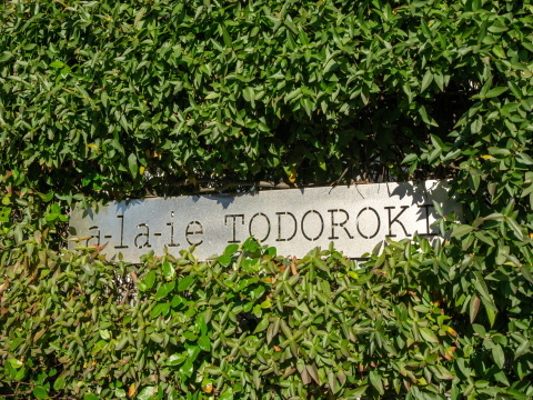 アライエ等々力の写真 7枚目