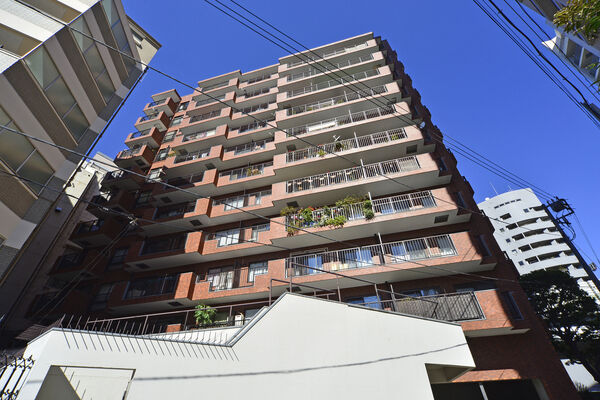 南青山ロイアルハイツのエントランス・共用部