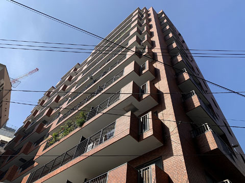 南青山ロイアルハイツの写真 11枚目