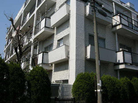 ニュー奥沢ハイツの写真 7枚目