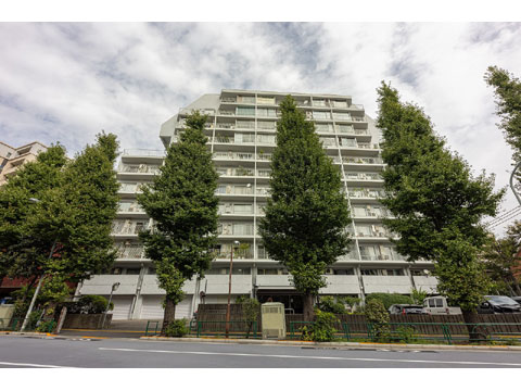 小田急目白台マンションの写真 11枚目