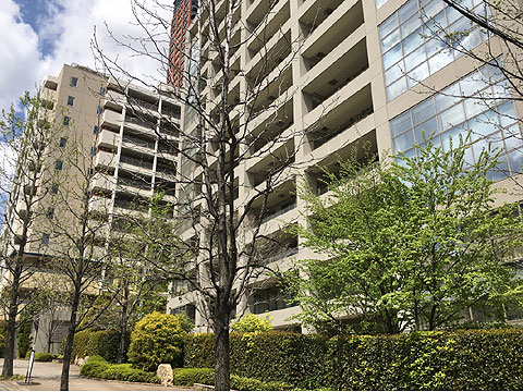 ザ・ウエストミンスター六本木の写真 7枚目