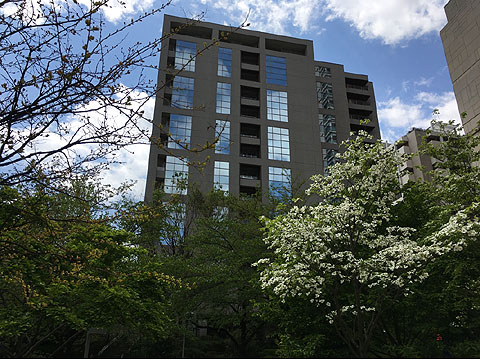 ザ・ウエストミンスター六本木の写真 9枚目