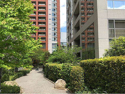 ザ・ウエストミンスター六本木の写真 12枚目