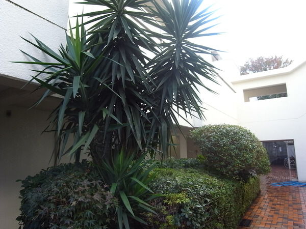 チュリス代々木の写真 7枚目