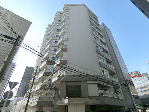 ライオンズマンション南平台の写真 11枚目