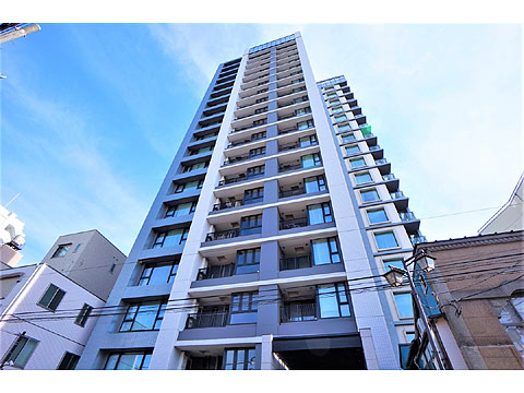 シティタワー白金の写真 14枚目