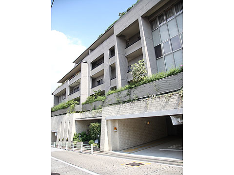 白金テラス三光坂の写真 4枚目