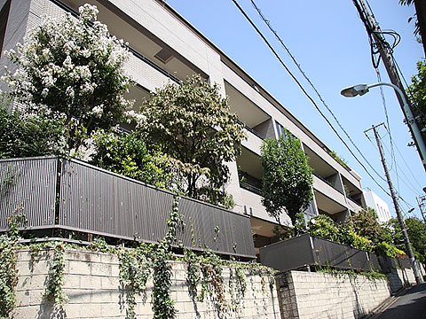 白金テラス三光坂の写真 5枚目