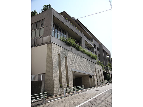 白金テラス三光坂の写真 8枚目