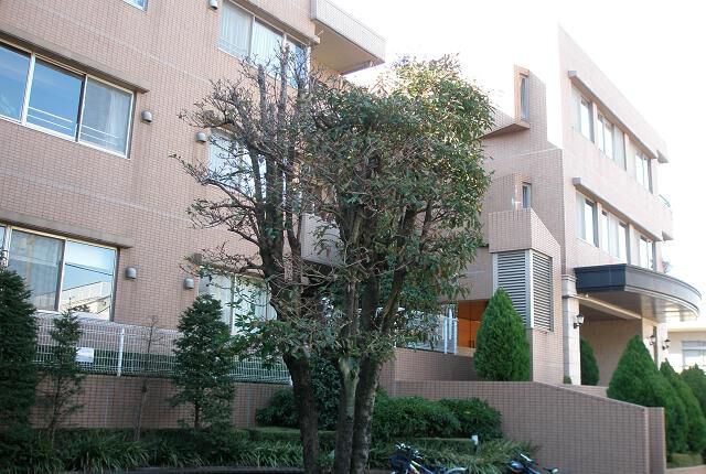 パークハウス代々木上原の写真 9枚目