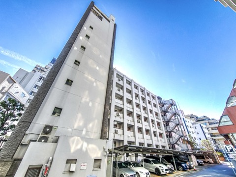 ドミ麻布の写真 7枚目