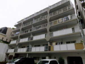 ロイヤルハイツ三田の外観写真 - 港区三田3丁目7番26号