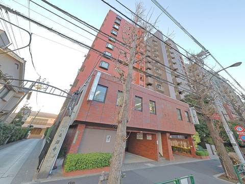 ロアジス文京の写真 11枚目