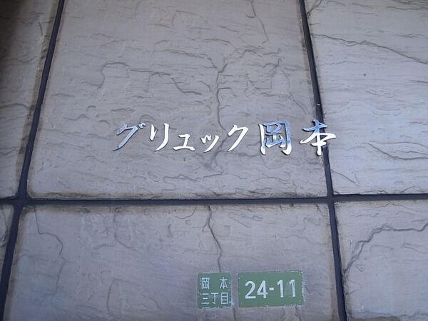 グリュック岡本の写真 8枚目