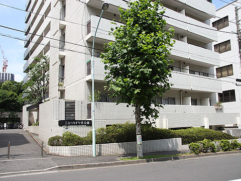 ニューハイツ芝公園の写真 9枚目