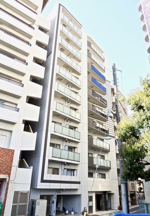 アルテシモプリマの写真 5枚目