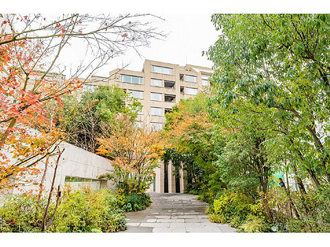 ミッドガーデン赤坂氷川の写真 14枚目