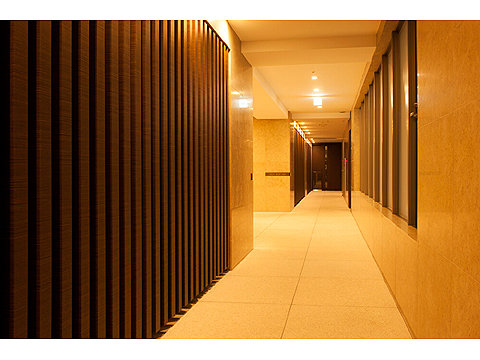 ミッドガーデン赤坂氷川の写真 11枚目