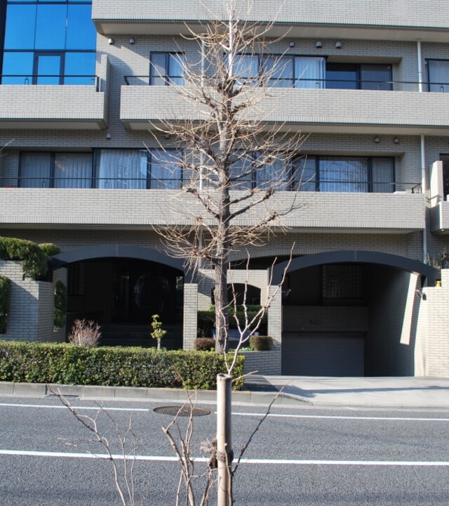 グランポート深沢の写真 8枚目