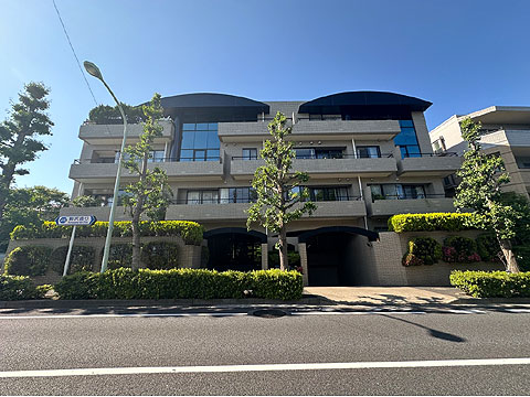 グランポート深沢の写真 12枚目