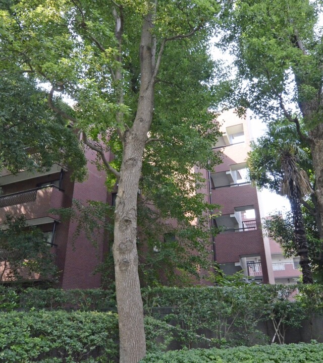 マンション広尾台の写真 5枚目