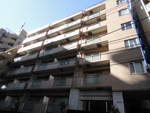 エクセシオーネお茶の水女子大前の写真 11枚目