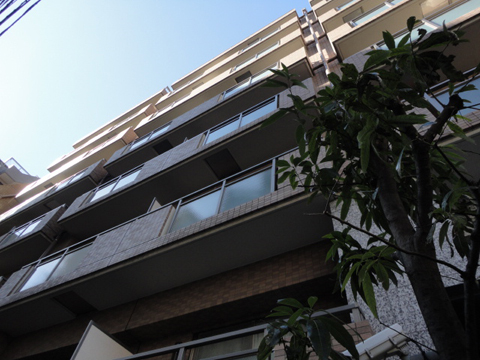 エクセシオーネお茶の水女子大前の写真 12枚目