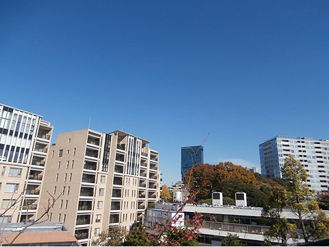 アクシア原宿の写真 10枚目