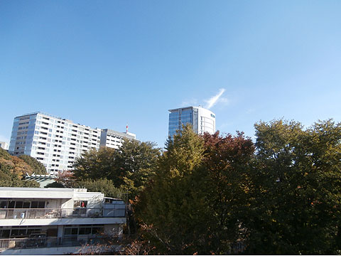 アクシア原宿の写真 11枚目