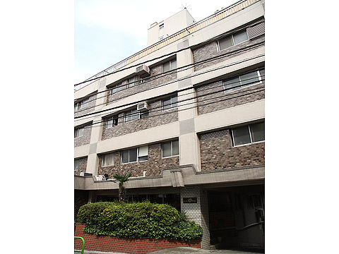 シャトー赤坂の写真 12枚目