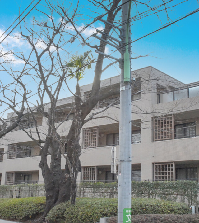 パークハウス等々力一丁目の写真 6枚目