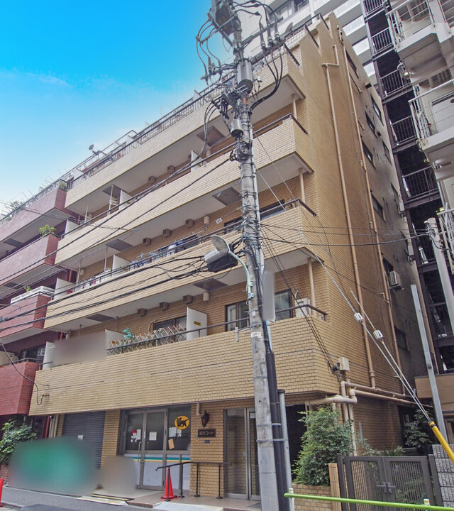 網代コートの写真 3枚目