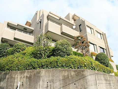 代々木公園パークマンションの写真 3枚目