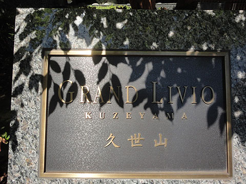 グランリビオ久世山の写真 16枚目
