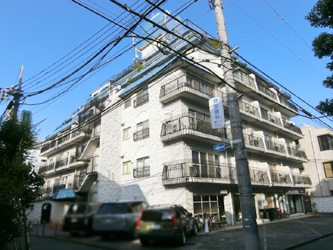 秀和北青山レジデンスの写真 13枚目