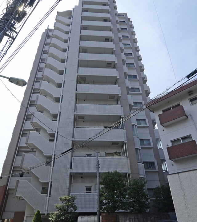 ヴィーナ・パルテールの写真 3枚目