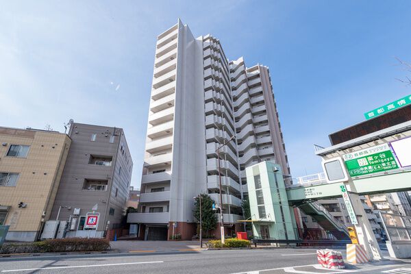 ヴィーナ・パルテールの写真 9枚目