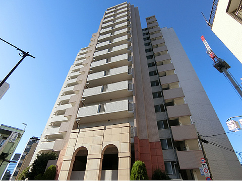 ヴィーナ・パルテールの写真 11枚目