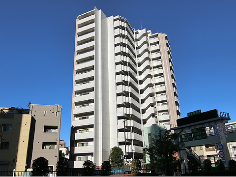 ヴィーナ・パルテールの写真 16枚目